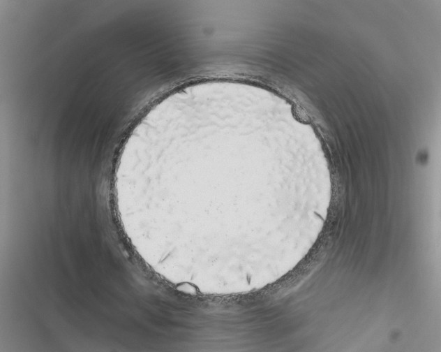X0000116420434201001191453