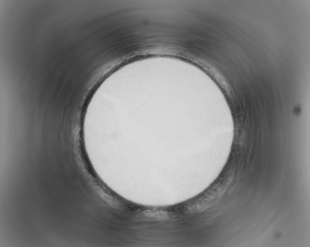 X0000116420437201001191453