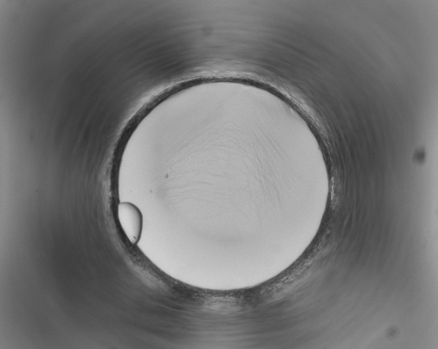 X0000116420438201001191453