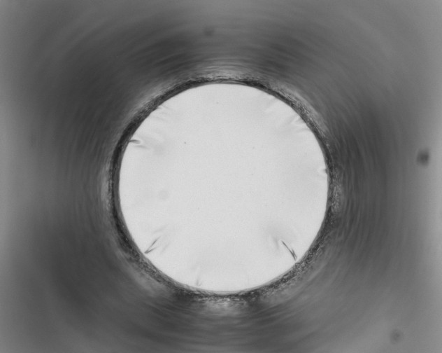 X0000116420439201001191453