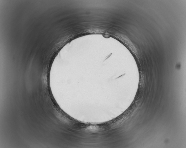 X0000116420441201001191453