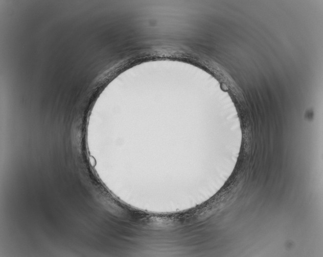 X0000116420442201001191453