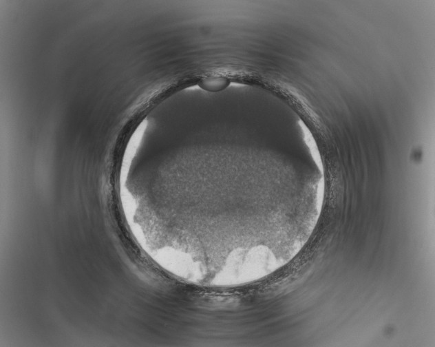 X0000116420443201001191453