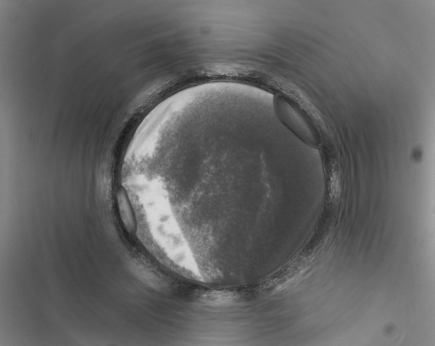 X0000116420444201001191453