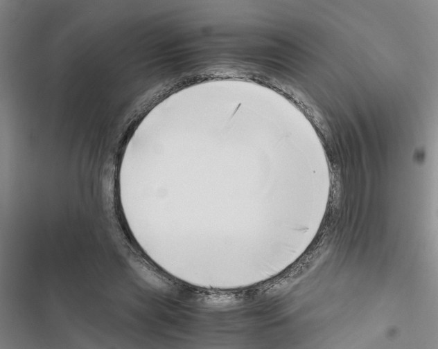 X0000116420445201001191453