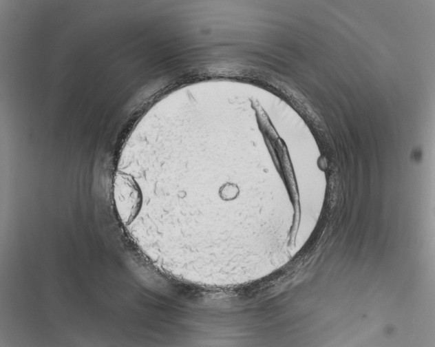 X0000116420446201001191453