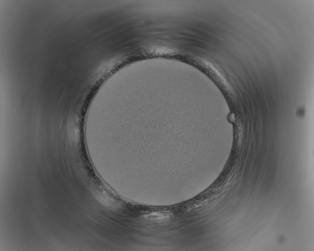 X0000116420447201001191453