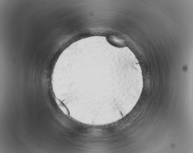 X0000116420448201001191453