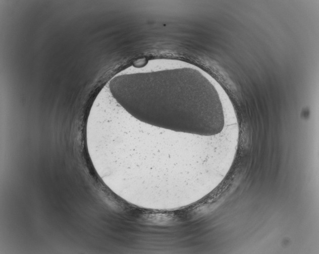 X0000116420449201001191453