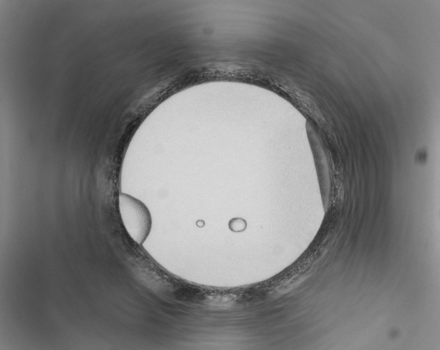 X0000116420450201001191453