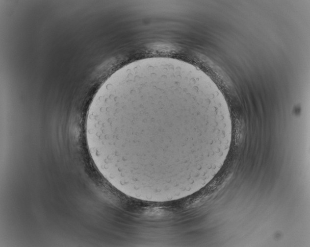 X0000116420451201001191453