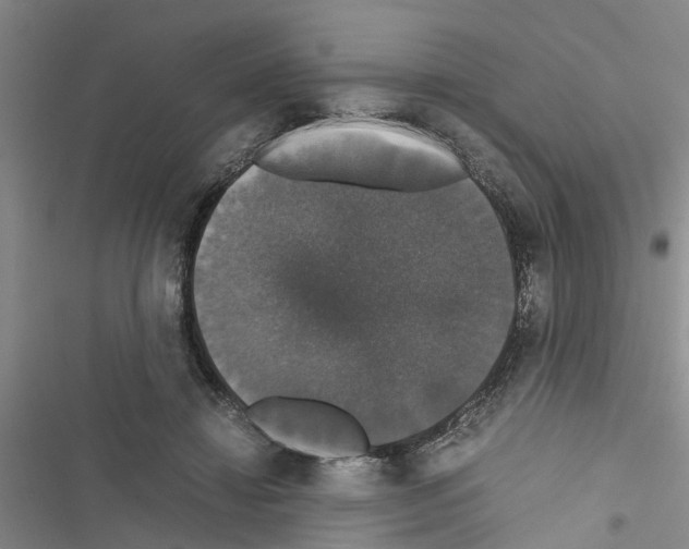 X0000116420452201001191453