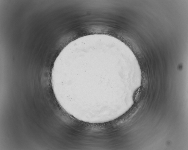 X0000116420453201001191453
