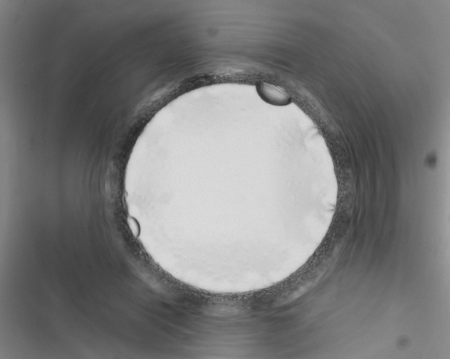 X0000116420454201001191453