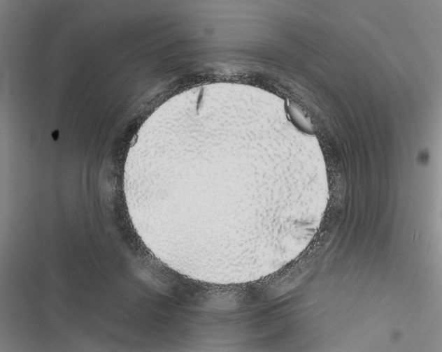X0000116420456201001191453