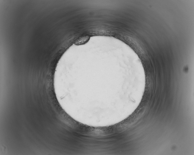 X0000116420457201001191453