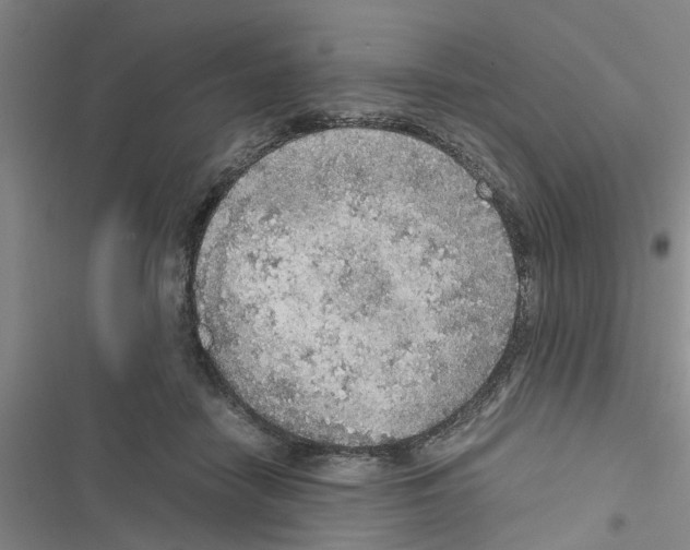 X0000116420458201001191453