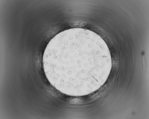 X0000116420460201001191453