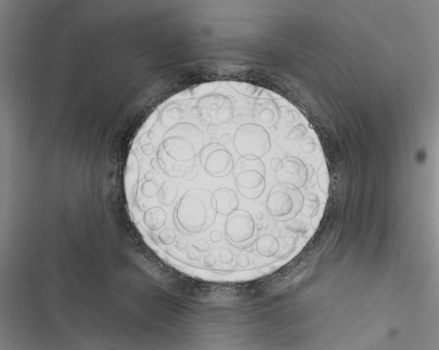 X0000116420462201001191453