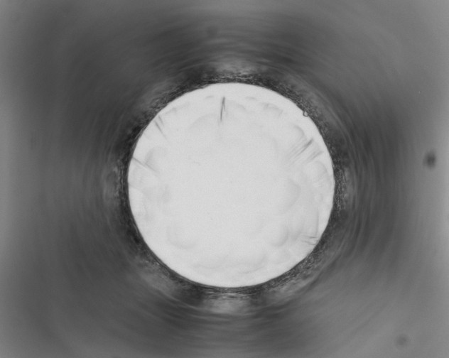 X0000116420463201001191453