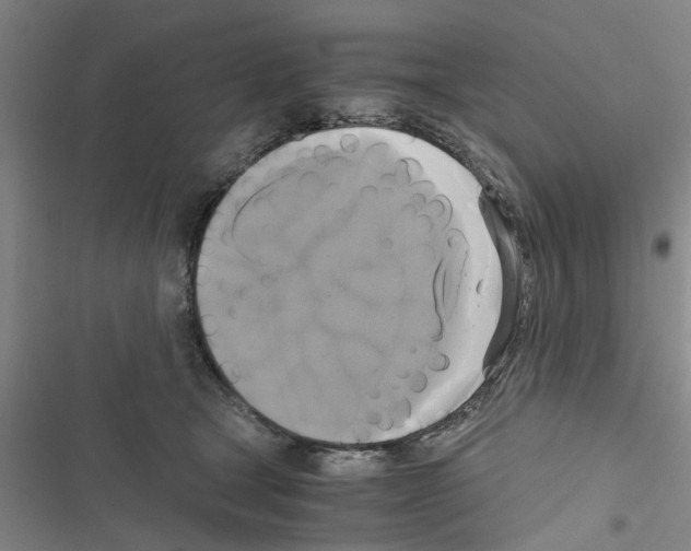 X0000116420465201001191453