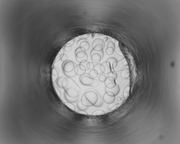 X0000116420466201001191453