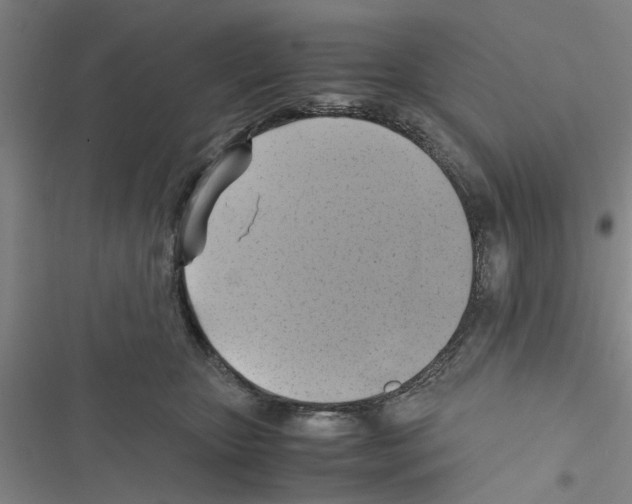 X0000116420467201001191453