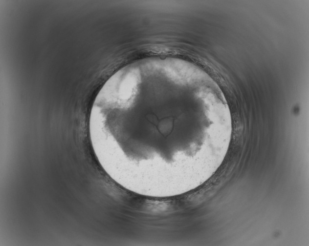 X0000116420469201001191453