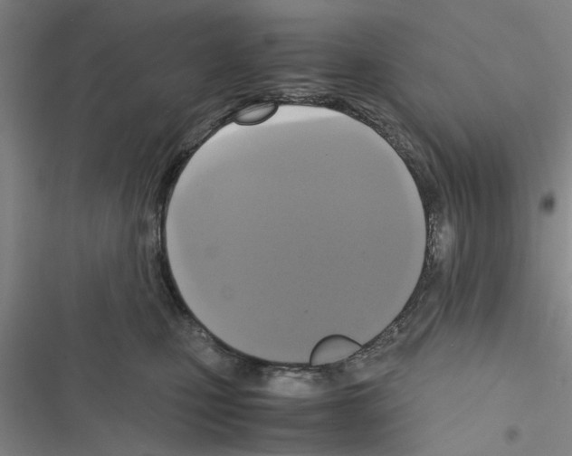 X0000116420471201001191454