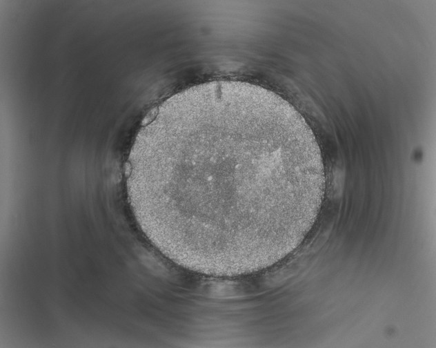 X0000116420472201001191454