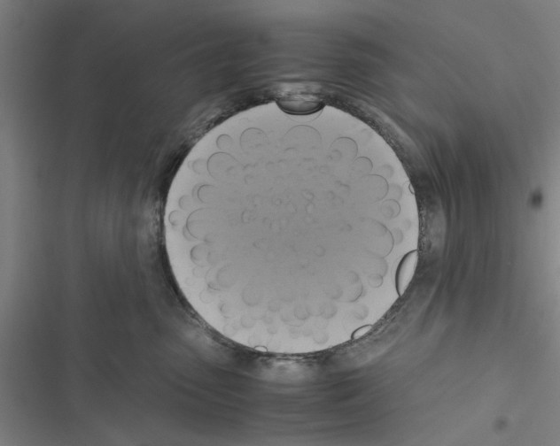 X0000116420475201001191454