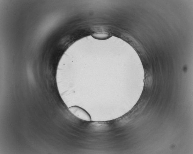 X0000116420477201001191454