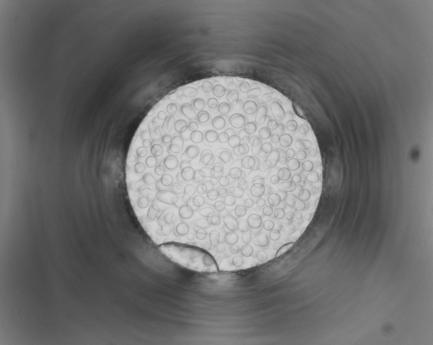 X0000116420478201001191454