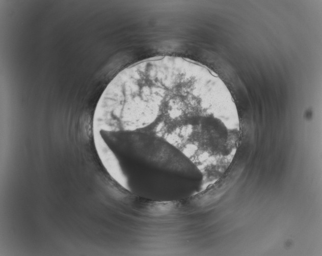 X0000116420479201001191454