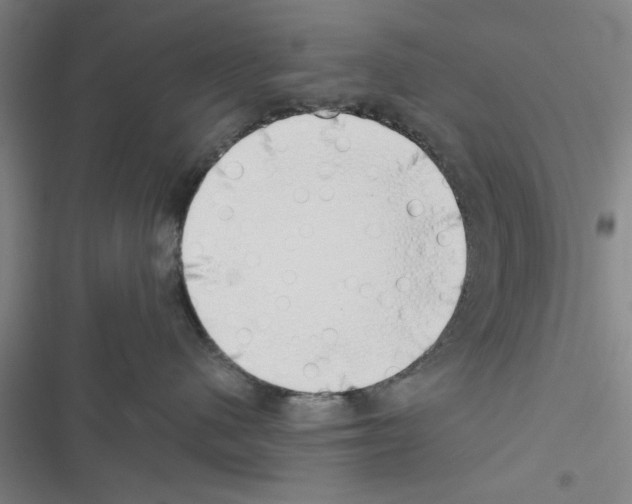 X0000116420480201001191454