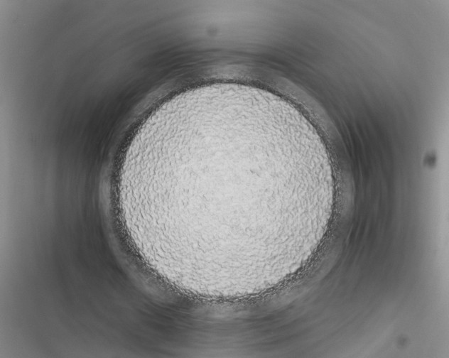 X0000116420482201001191453