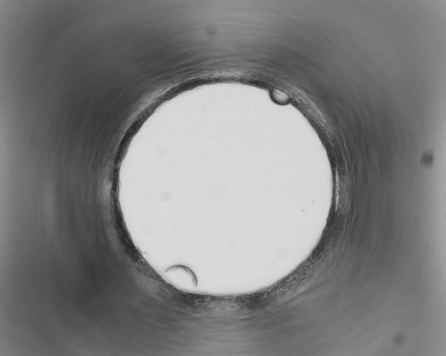 X0000116420483201001191453