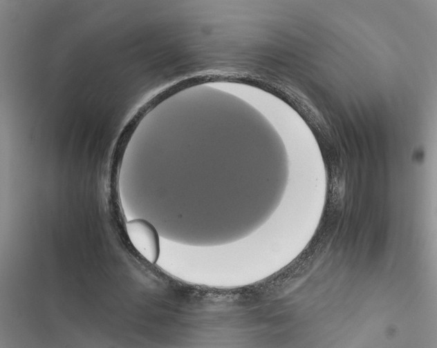 X0000116420484201001191453