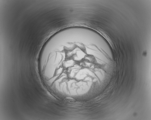 X0000116420485201001191453