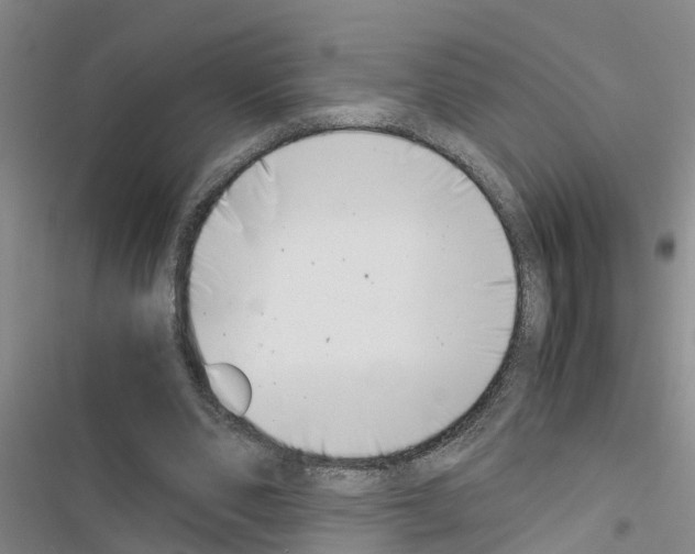 X0000116420486201001191453