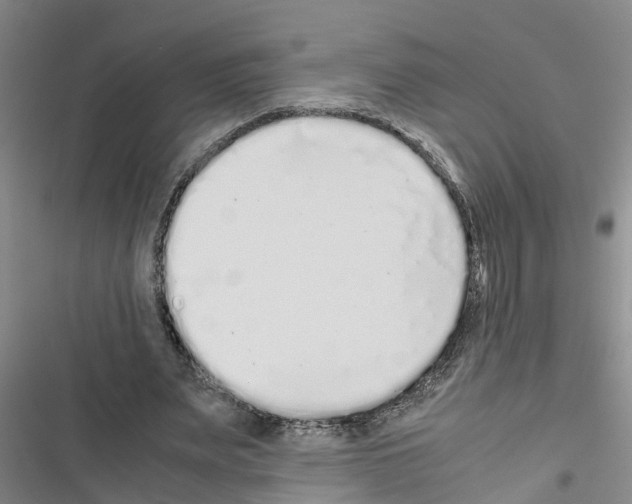 X0000116420487201001191453