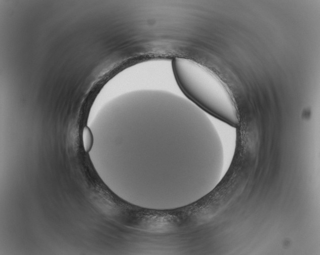 X0000116420488201001191453