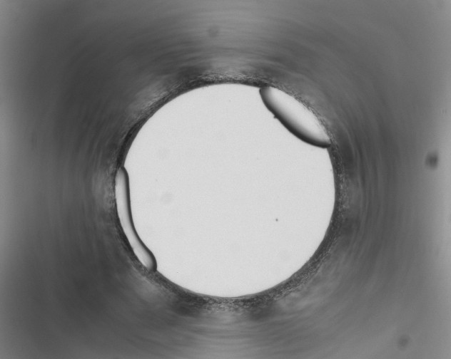 X0000116420489201001191453
