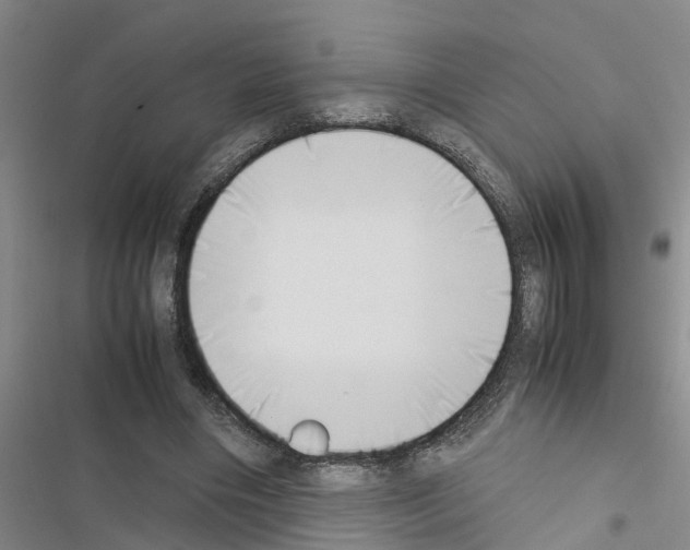 X0000116420490201001191453