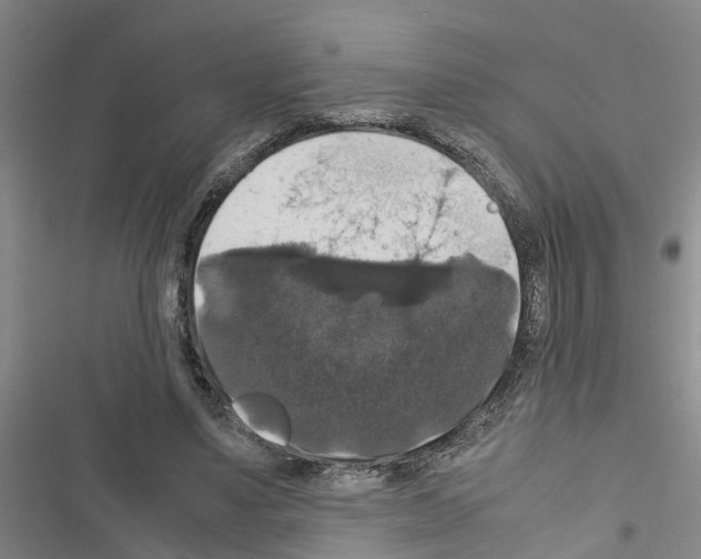 X0000116420491201001191453