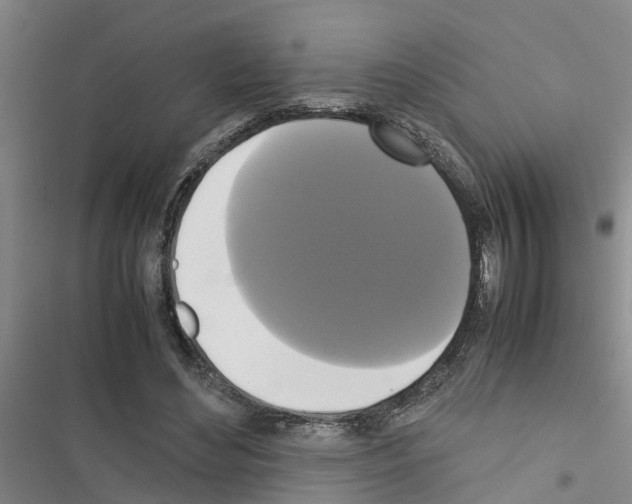 X0000116420492201001191453