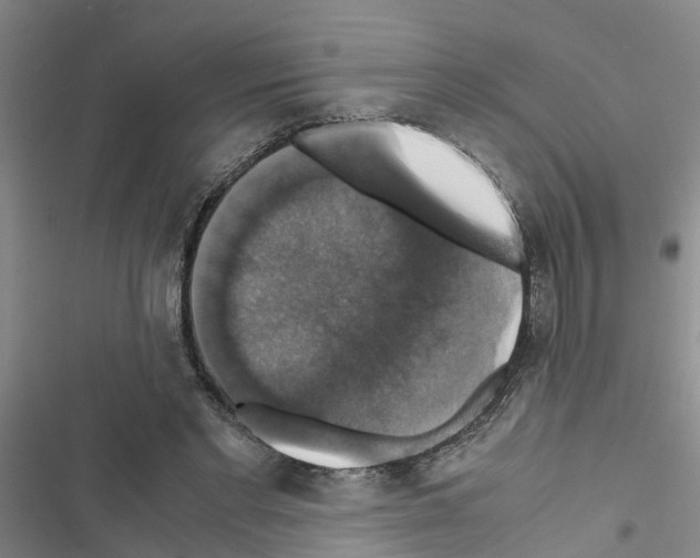 X0000116420493201001191453