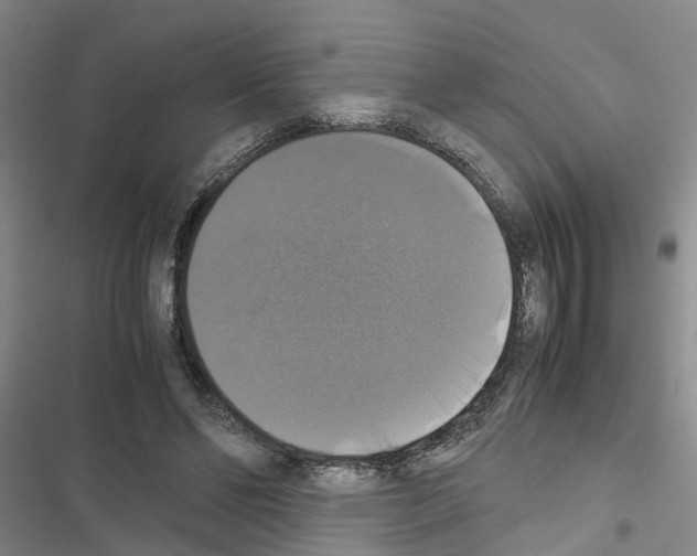 X0000116420494201001191453