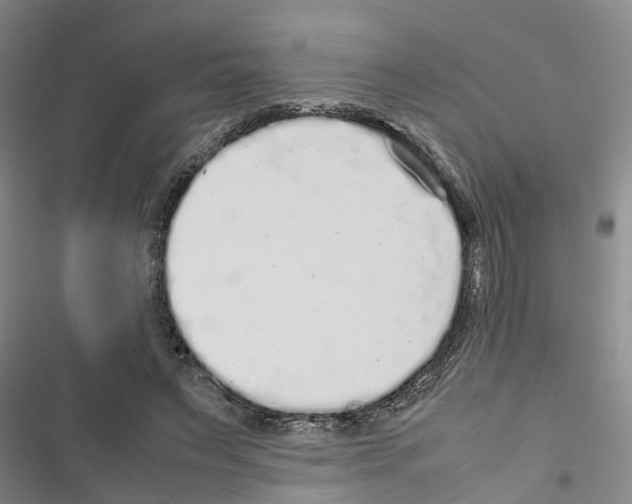 X0000116420495201001191453