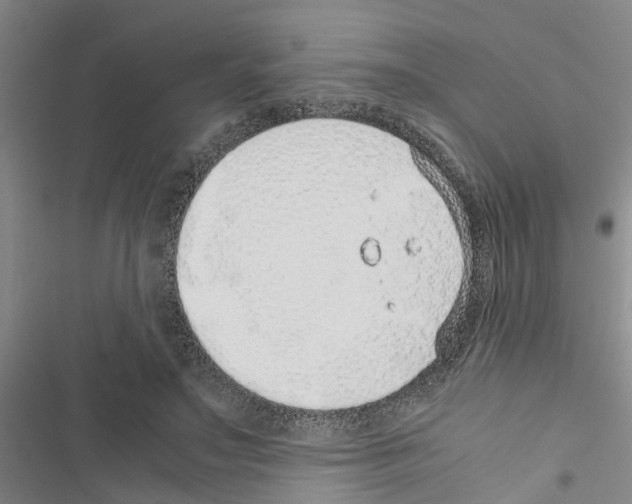 X0000116420499201001191453